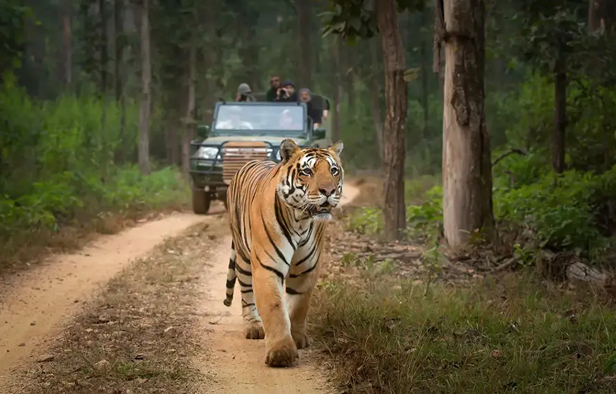 Golden Triangle Tour With Wildlife Of India